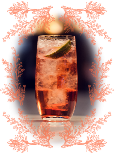 vermood_rosso_tonic